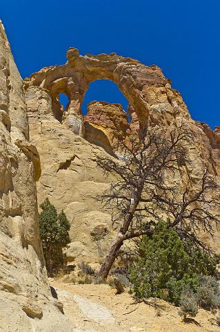 039 Cottonwood Canyon Road, Grosvenor Arch.jpg